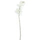 Faux White Orchid Stem