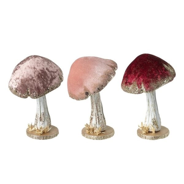 Mix of Three Velvet Mushrooms