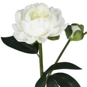 Faux White Peony Rose