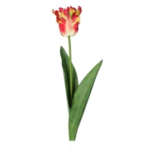 Faux Red & Yellow Parrot Tulip