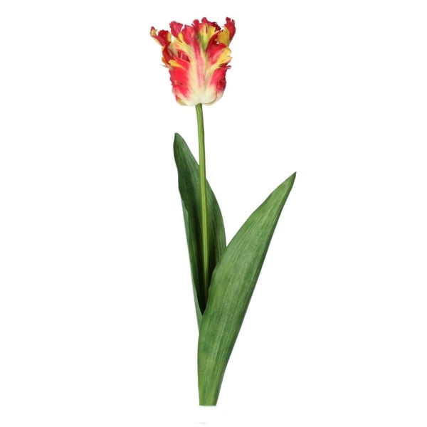 Faux Red & Yellow Parrot Tulip