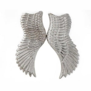 Hampton Pair of Angel Wings