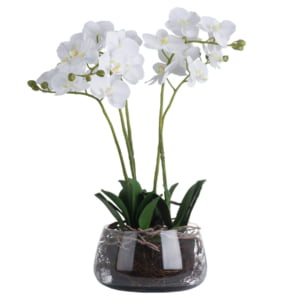 Honor White Orchid Glass Pot