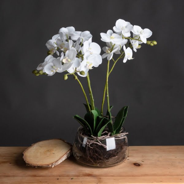 Honor White Orchid Glass Pot