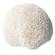 White Resin Coral Ornament