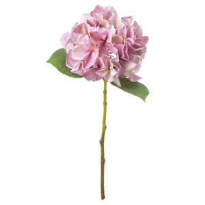 Honor Shabby Pink Hydrangea