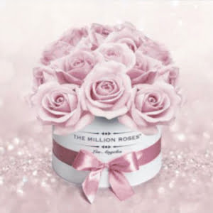Pink Roses Wall Art