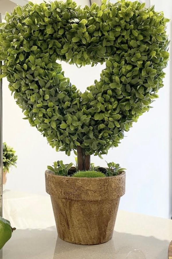Heart Shaped Topiary Boxwood