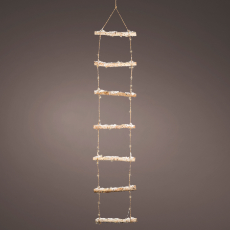 481002 ladder display