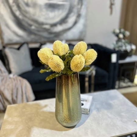 Large Cream Banksia Serrata Stem